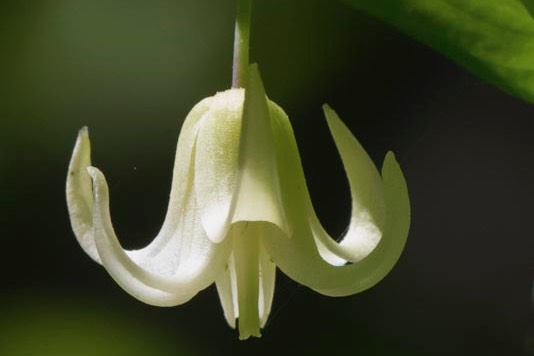 D81_7492 Edit-2-Edit