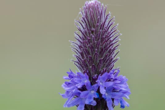 2019 04-21%2019-40-39%20%28A,Radius8,Smoothing4%2931-2