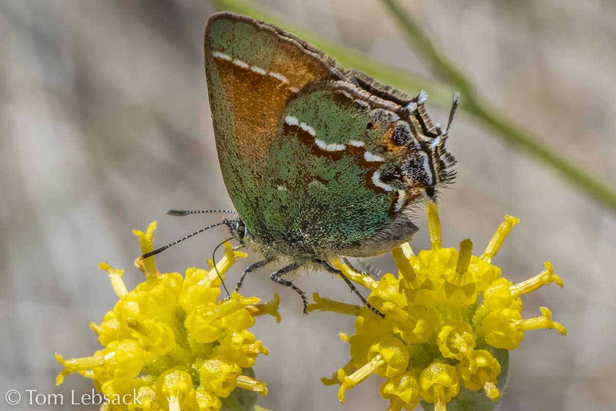 2019 04-21%2019-40-39%20%28A,Radius8,Smoothing4%2931-2