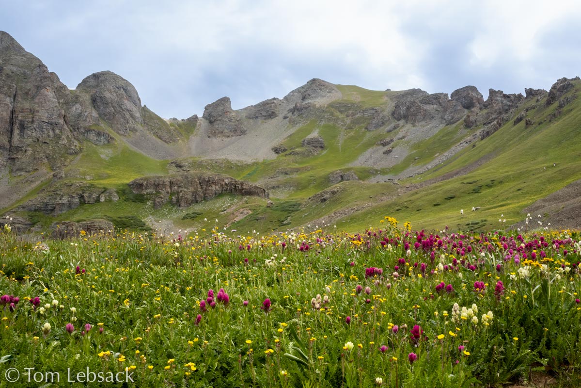 D81_7492 Edit-2-Edit