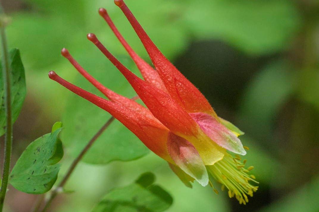 2019 03-26%2016-20-17%20%28A,Radius8,Smoothing4%2911-2-2-Edit-Edit